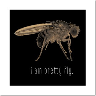 i am pretty fly. Posters and Art